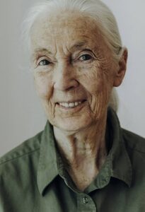 Jane Goodall en image